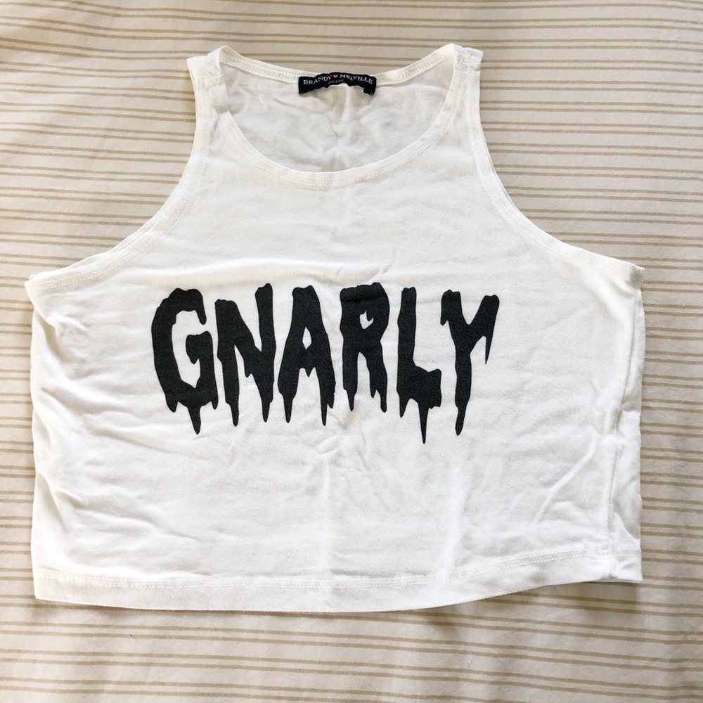 Brandy Melville Crop Top